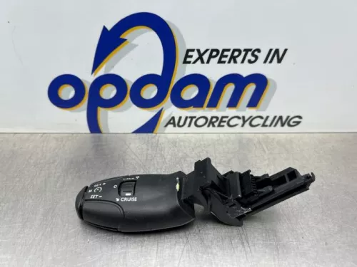 Cruise Control Bediening-8362833