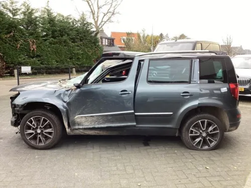 Portier 4Deurs links-achter-8401025