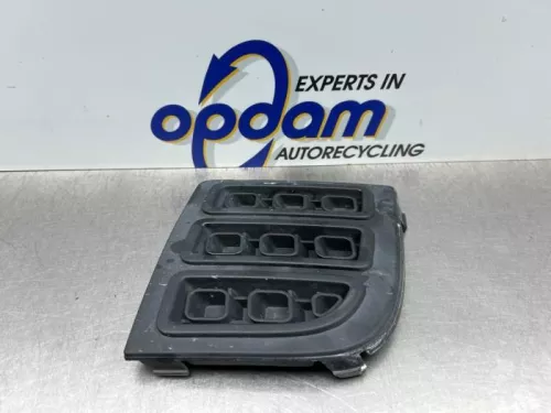 Bumper Rooster-8302482