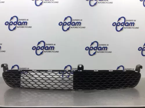 Bumper Rooster-8187341