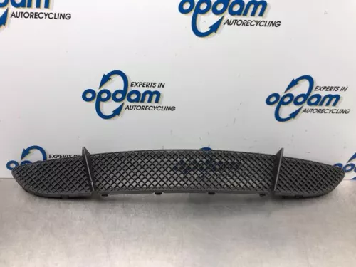 Bumper Rooster-6938958