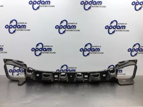 Bumperframe achter-8197402 (21008088)