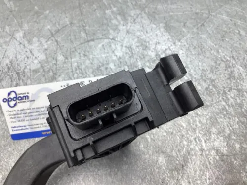 Gaspedaalpositie Sensor-8500479