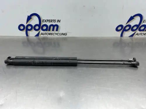 Set Gasdempers Achterklep-8244984