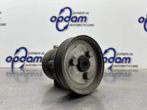 Stuurbekrachtiging Pomp-8388936