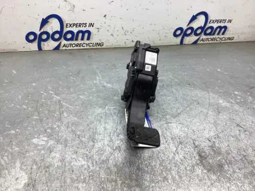 Gaspedaalpositie Sensor-8395439