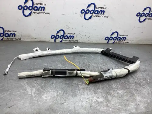 Airbag hemel links-8078045