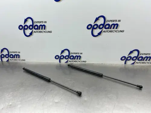 Set Gasdempers Achterklep-8448561