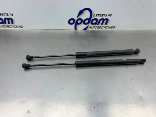 Set Gasdempers Achterklep-8304828