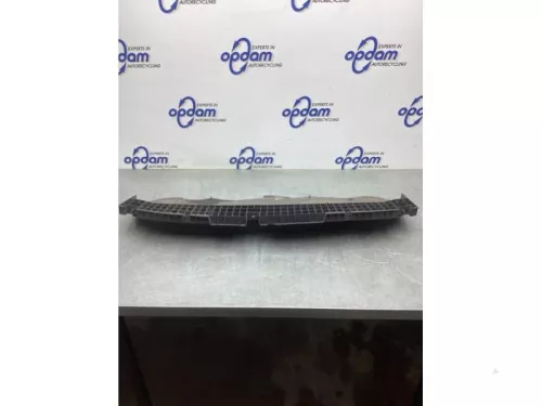 Bumperframe voor-8101951 (20891723)