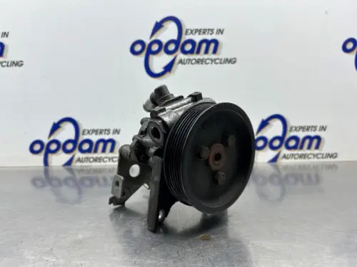Stuurbekrachtiging Pomp-8413246