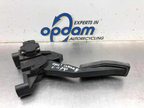 Gaspedaalpositie Sensor-7908198