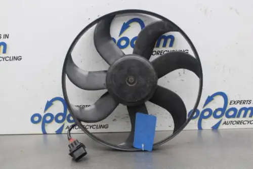 Koelvin Motor-7893025