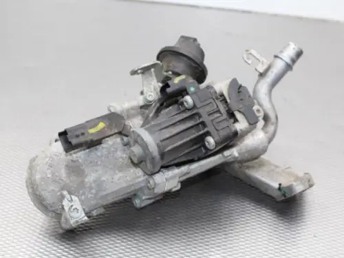 EGR Klep-