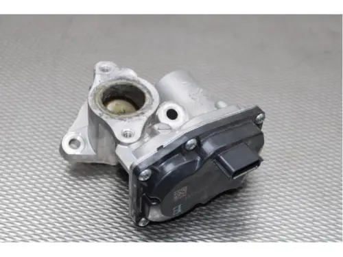 EGR Klep-