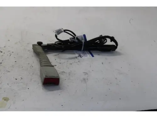 Gordelspanner rechts-7589948