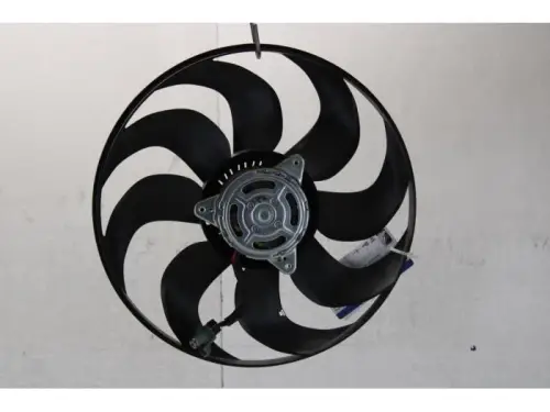 Koelvin Motor-7879644