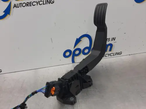 Gaspedaalpositie Sensor-7589744