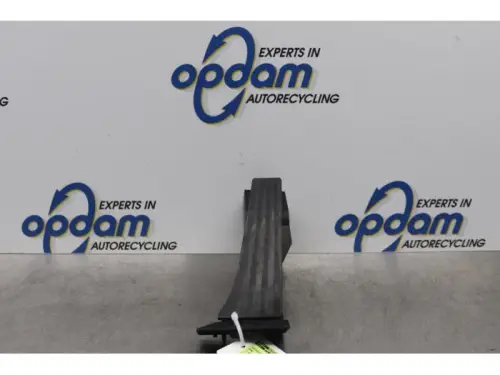 Gaspedaalpositie Sensor-7716421