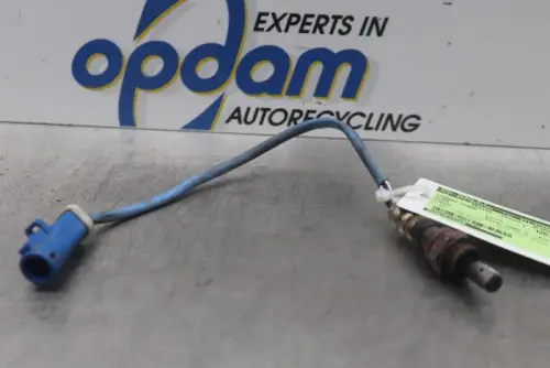 Lambda Sonde-7877096