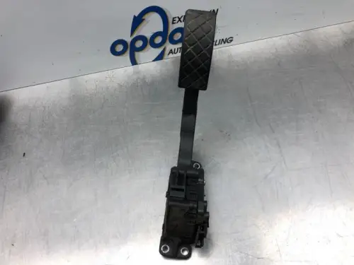 Gaspedaalpositie Sensor-7841097