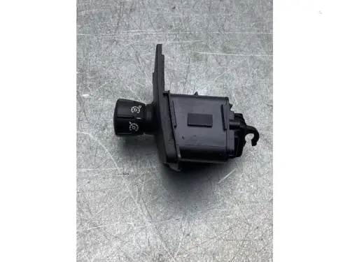 Cruise Control Bediening-7917510