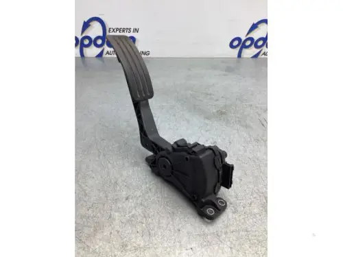Gaspedaalpositie Sensor-7519846