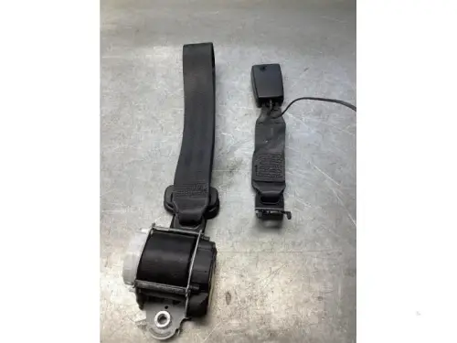 Veiligheidsgordel rechts-achter-7980130