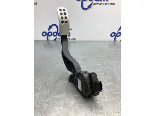 Gaspedaalpositie Sensor-7348839