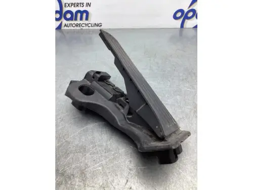 Gaspedaalpositie Sensor-5507968