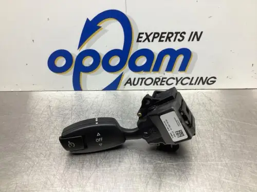 Cruise Control Bediening-7929197