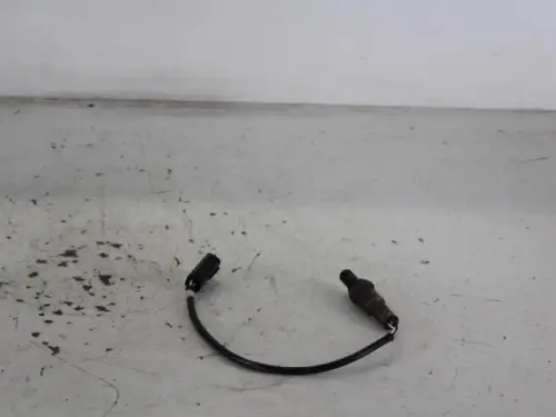 Lambda Sonde-7717341