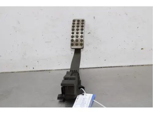 Gaspedaalpositie Sensor-7879172