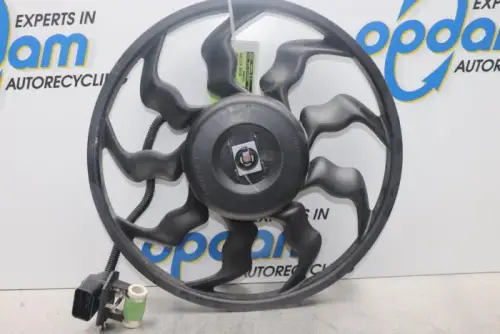 Koelvin Motor-7879399