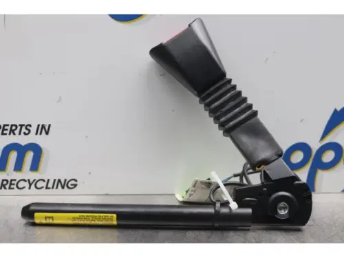 Gordelspanner rechts-7877407