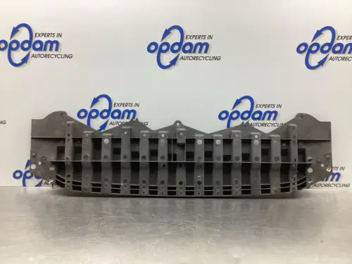 Bumperframe voor-7855303