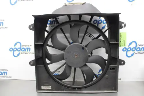 Koelvin Motor-7866985
