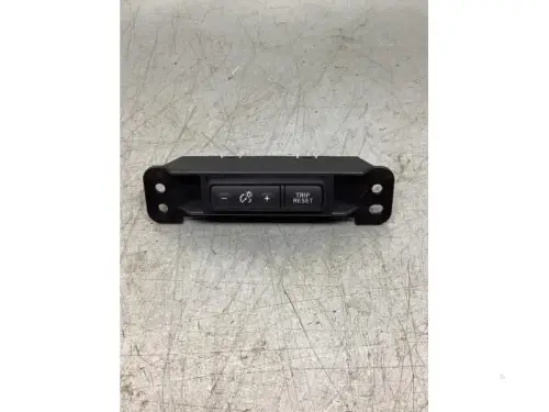 Cruise Control Bediening-7434945