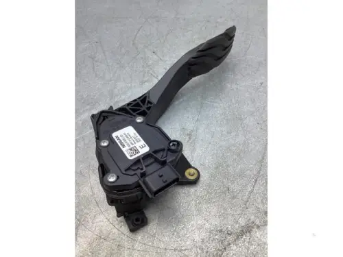 Gaspedaalpositie Sensor-7434945