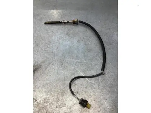 Uitlaat temperatuursensor-7981015