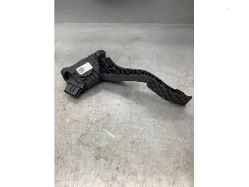 Gaspedaalpositie Sensor-7086607