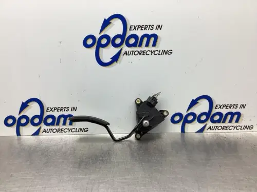 Gaspedaalpositie Sensor-7849730