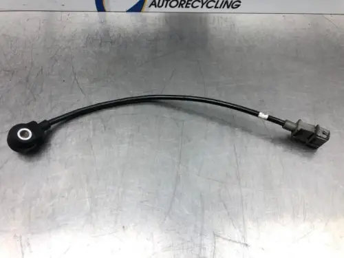 Pingelsensor-7613480