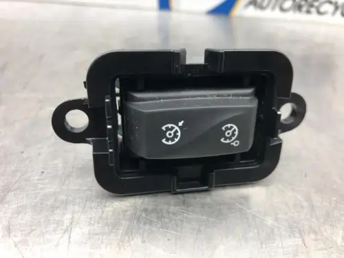 Cruise Control Bediening-7324506