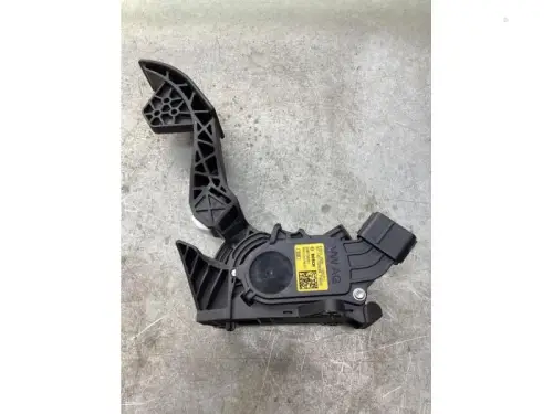 Gaspedaalpositie Sensor-8048469