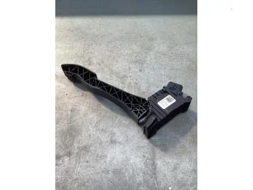 Gaspedaalpositie Sensor-8031893