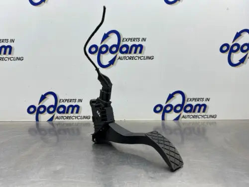 Gaspedaalpositie Sensor-7589902