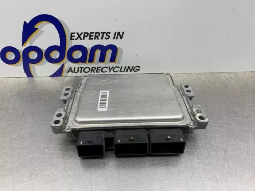 Computer Motormanagement-8187393 (21945885)