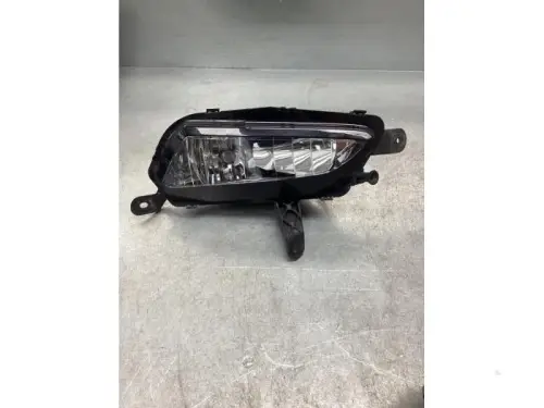 Mistlamp rechts-voor-7940979