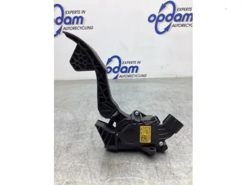 Gaspedaalpositie Sensor-8050375